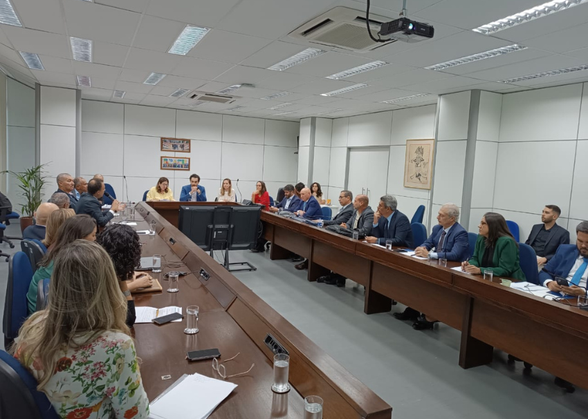 Grupo de Trabalho Interministerial
